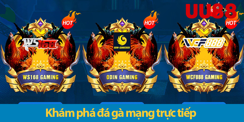 Đá gà mạng trực tiếp - Trải nghiệm chất lượng cao và an toàn tại UU88